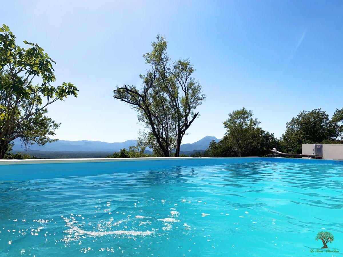 La Finca Olivetree Katuni Exteriör bild
