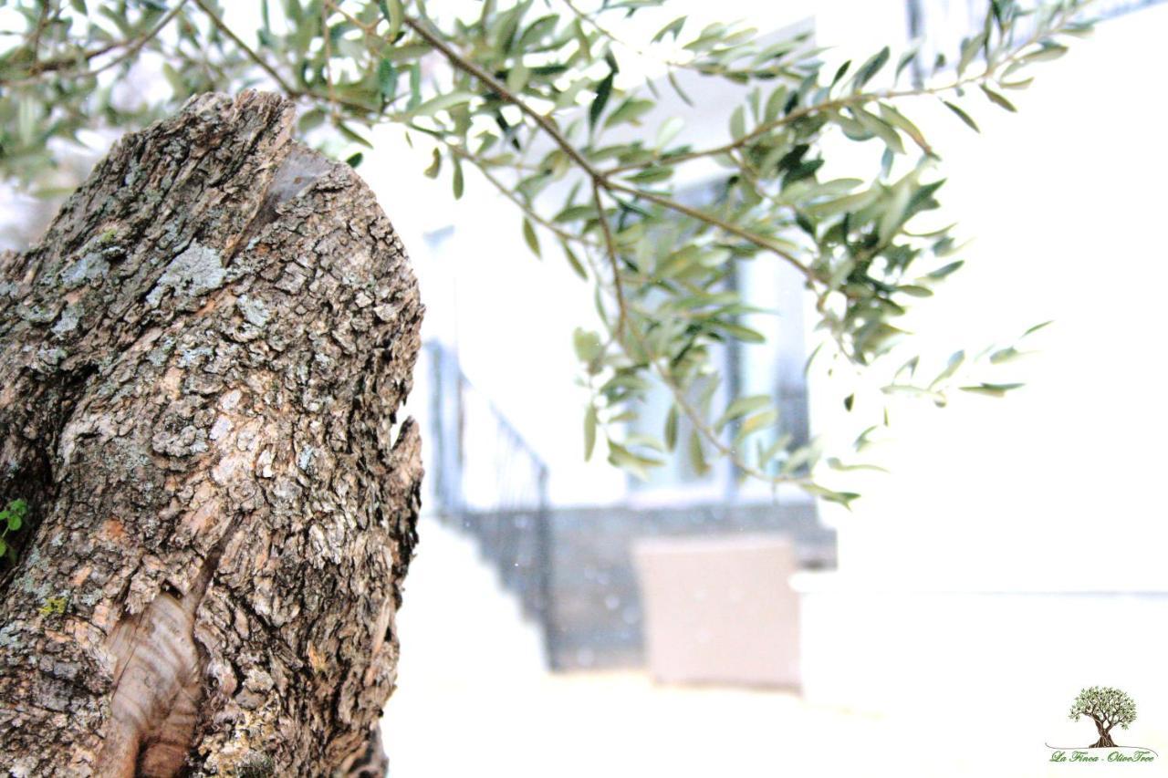 La Finca Olivetree Katuni Exteriör bild